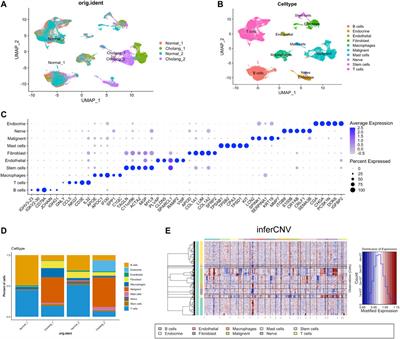 Dissecting cellular heterogeneity and intercellular communication in cholangiocarcinoma: implications for individualized therapeutic strategies